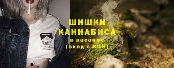 PSILOCYBIN Балабаново