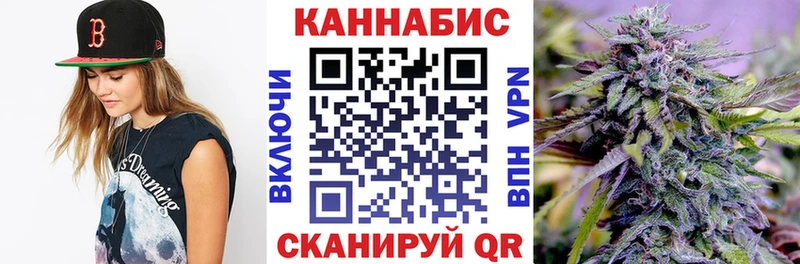 Шишки марихуана марихуана  где продают наркотики  Себеж 